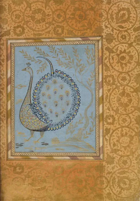 Framed Print : Calligraphic Composition in Shape of Peacock, Folio from the Bellini Album, ca. 1600 Framed Print : Calligraphic Composition in Shape of Peacock, Folio from the Bellini Album, ca. 1600