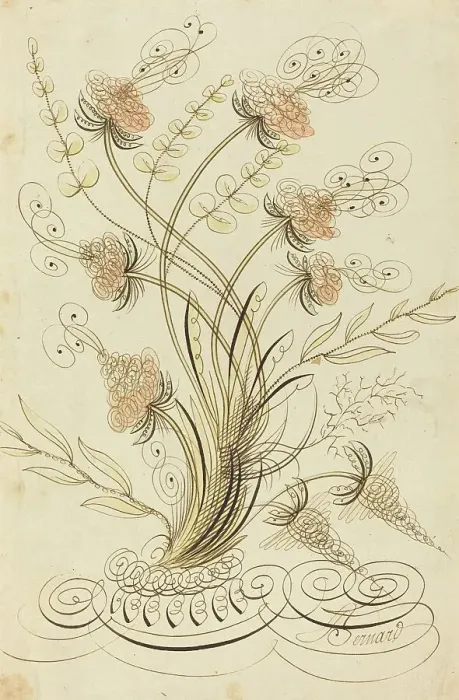 Framed Print : Calligraphic Flowers. Creator: Jean-Joseph Bernard Framed Print : Calligraphic Flowers. Creator: Jean-Joseph Bernard