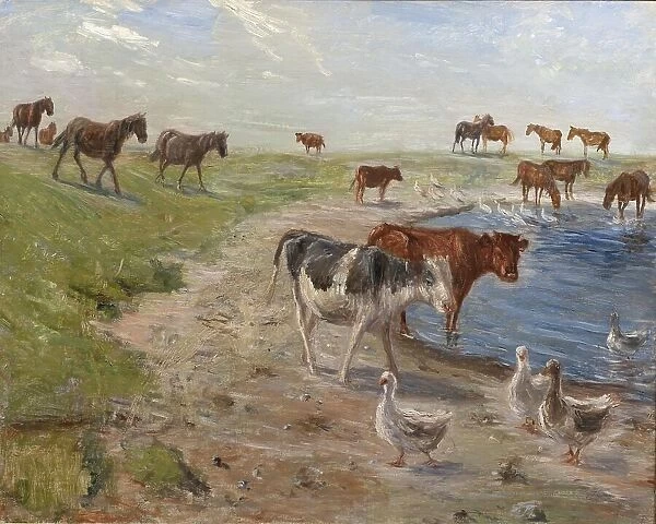 Calves and Geese at a Wateringhole on the Island of Saltholm, 1911. Creator: Theodor Esbern Philipsen