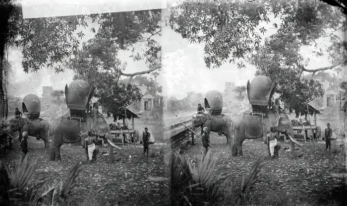 Framed Print : Cambodia: elephants outside Angkor Wat, 1865. Creator: John Thomson Framed Print : Cambodia: elephants outside Angkor Wat, 1865. Creator: John Thomson