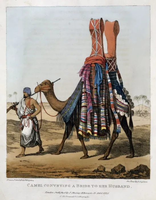 Framed Print : Camel Conveying a Bride to her Husband, 1821. Artist: Denis Dighton Framed Print : Camel Conveying a Bride to her Husband, 1821. Artist: Denis Dighton