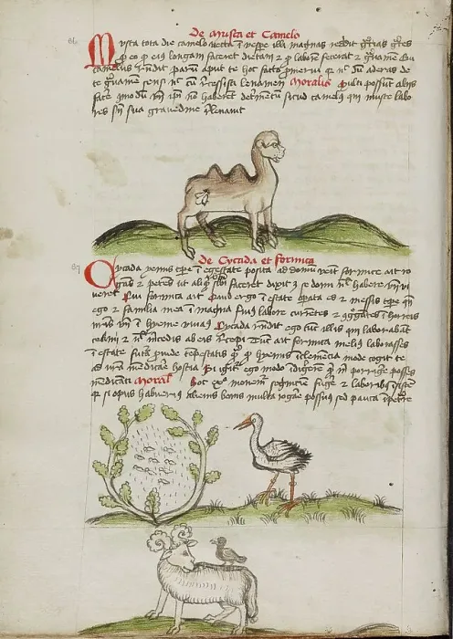 Framed Print : A Camel with a Fly on its Back: Insects in a Vineyard and a Stork... third quarter of 15th century. Creator: Unknown Framed Print : A Camel with a Fly on its Back: Insects in a Vineyard and a Stork... third quarter of 15th century. Creator: Unknown