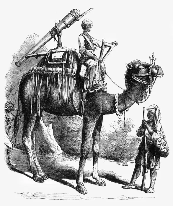 Framed Print : Camel Jingall, c1891. Creator: James Grant Framed Print : Camel Jingall, c1891. Creator: James Grant