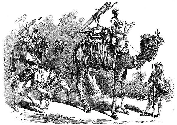 Camel Jingalls, 1858. Creator: Unknown