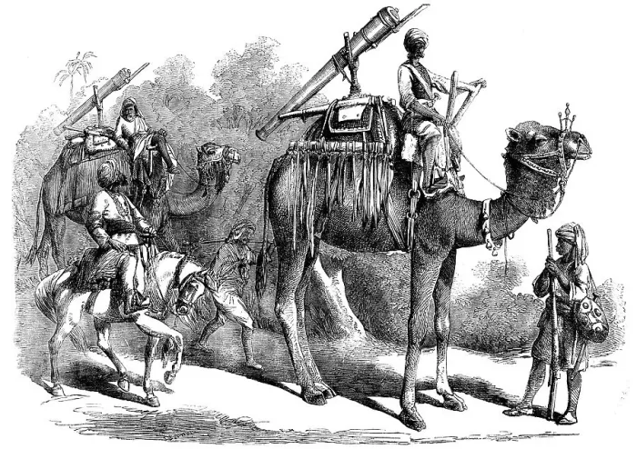 Framed Print : Camel Jingalls, 1858. Creator: Unknown Framed Print : Camel Jingalls, 1858. Creator: Unknown