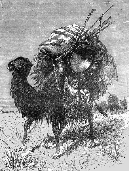 Camel of a Tartar Emigrant; The newly-conquered Russian Province of Dzungaria, 1875. Creator: Armin Vambery