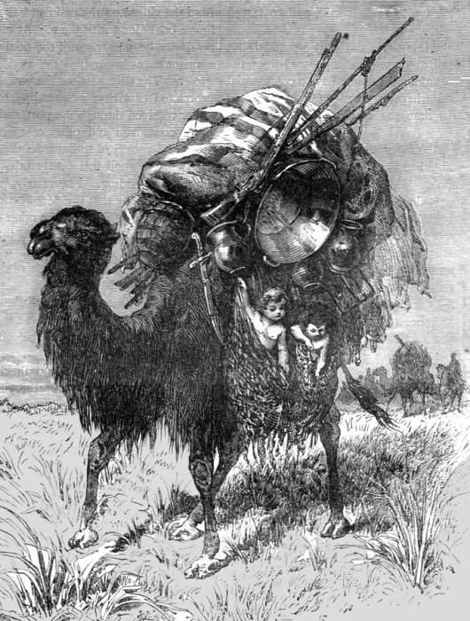 Framed Print : Camel of a Tartar Emigrant; The newly-conquered Russian Province of Dzungaria, 1875. Creator: Armin Vambery Framed Print : Camel of a Tartar Emigrant; The newly-conquered Russian Province of Dzungaria, 1875. Creator: Armin Vambery