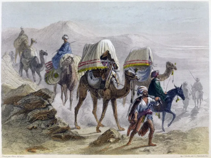 Framed Print : The Camel Train, 1855. From Constantinople and the Black Sea Framed Print : The Camel Train, 1855. From Constantinople and the Black Sea