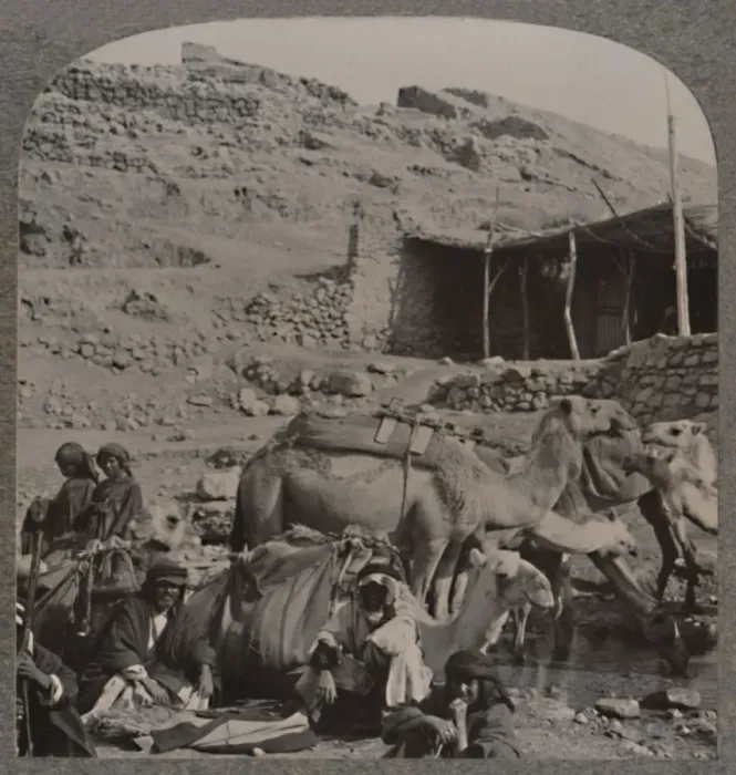 Framed Print : Camel train from Jerash, watering at the Fountain of Elisha, c1900 Framed Print : Camel train from Jerash, watering at the Fountain of Elisha, c1900
