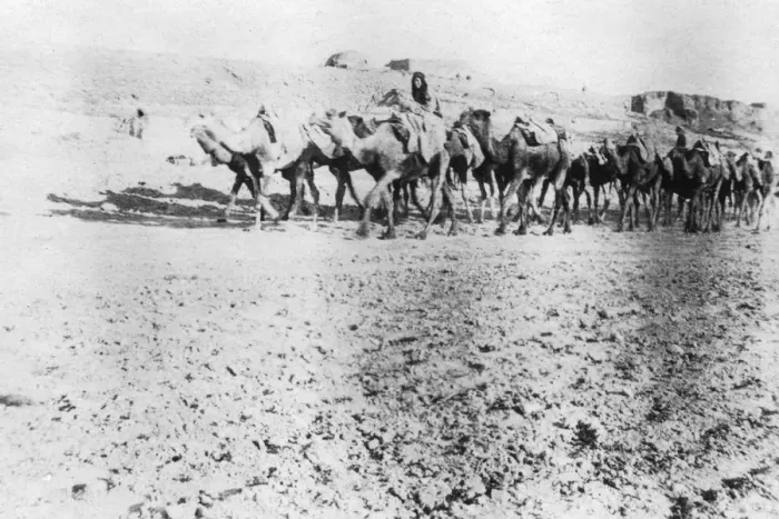 Framed Print : Camel train, Mosul, Mesopotamia, 1918 Framed Print : Camel train, Mosul, Mesopotamia, 1918