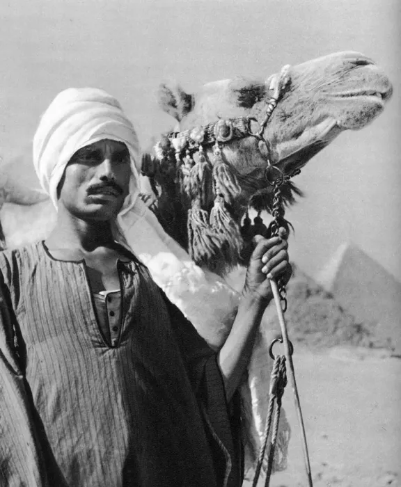 Framed Print : Cameldriver near the pyramids, Egypt, 1937. Artist: Martin Hurlimann Framed Print : Cameldriver near the pyramids, Egypt, 1937. Artist: Martin Hurlimann