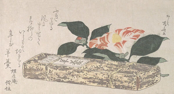 Camellia Flower and Yokan (a sort of bean jelly) Wrapped in Bamboo Skin, 1811. 1811