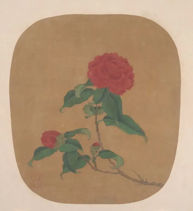 Framed Print : Camellia Flowers. Creator: Unknown Framed Print : Camellia Flowers. Creator: Unknown