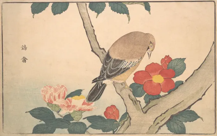 Framed Print : Camellias with a Bird, 1789. Creator: Kitao Masayoshi Framed Print : Camellias with a Bird, 1789. Creator: Kitao Masayoshi