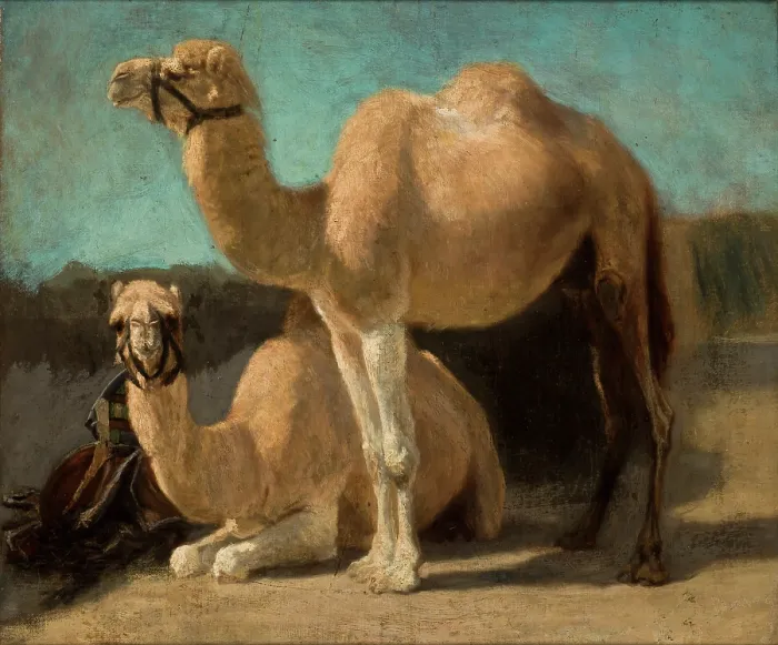 Framed Print : Two Camels, between 1852-1853. Creator: Henryk Rodakowski Framed Print : Two Camels, between 1852-1853. Creator: Henryk Rodakowski