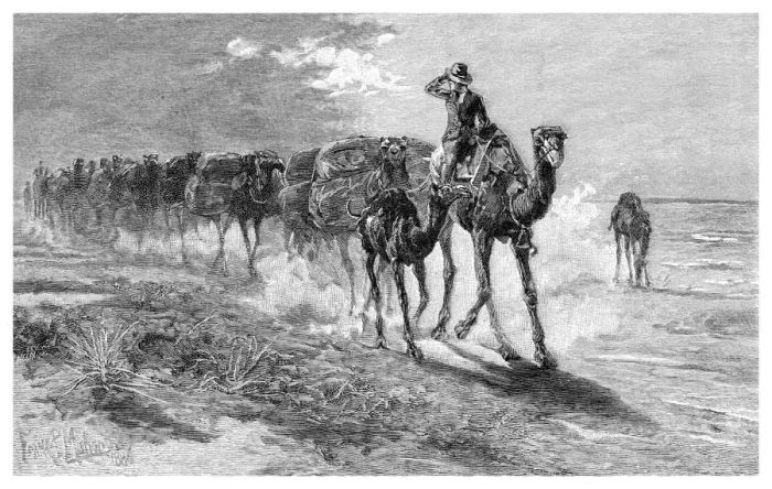 Framed Print : Camels carrying wool, 1886. Artist: Frank P Mahony Framed Print : Camels carrying wool, 1886. Artist: Frank P Mahony