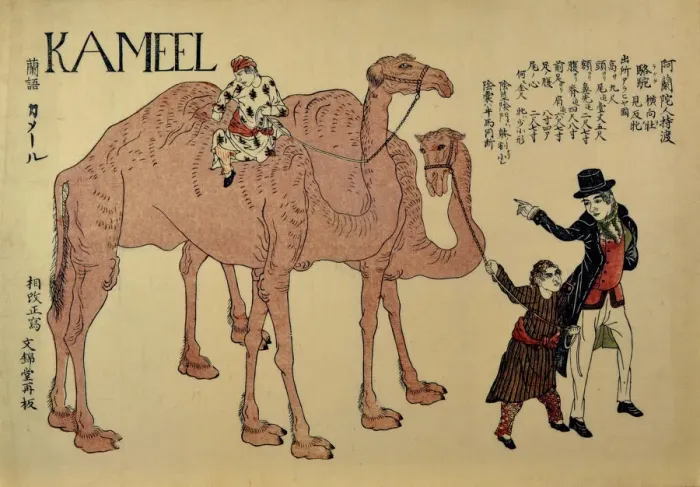 Framed Print : Camels with Dutch Handlers, ca. 1821. Creator: Unknown Framed Print : Camels with Dutch Handlers, ca. 1821. Creator: Unknown