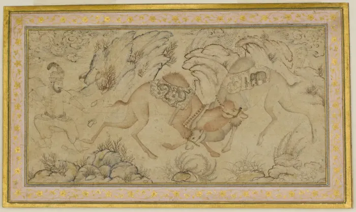 Framed Print : Two Camels Fighting, late 16th-early 17th century. Creator: Unknown Framed Print : Two Camels Fighting, late 16th-early 17th century. Creator: Unknown