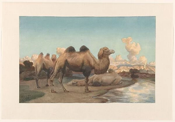 Camels in a landscape, 1884. Creator: August Le Gras