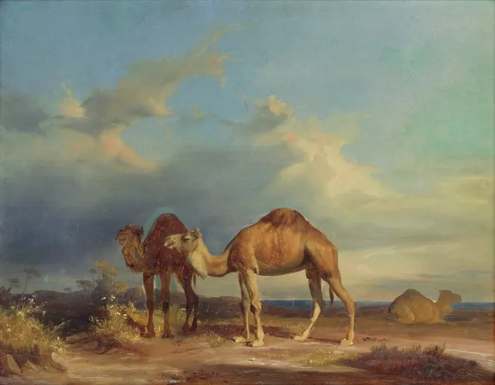 Framed Print : Camels in a southern landscape, 1835-1850. Creator: Karol Marko Framed Print : Camels in a southern landscape, 1835-1850. Creator: Karol Marko