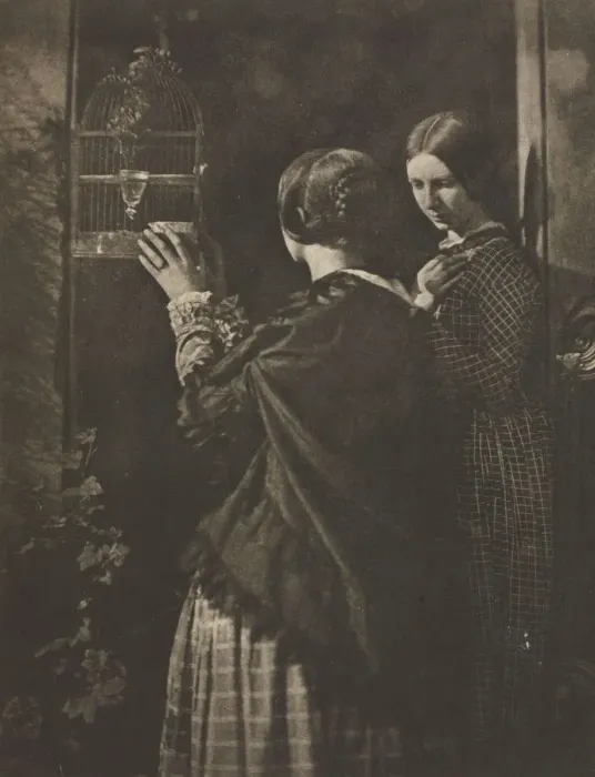 Framed Print : Camera Work: The Bird-Cage, 1909. Creator: David Octavius Hill (British, 1802-1870) Framed Print : Camera Work: The Bird-Cage, 1909. Creator: David Octavius Hill (British, 1802-1870)