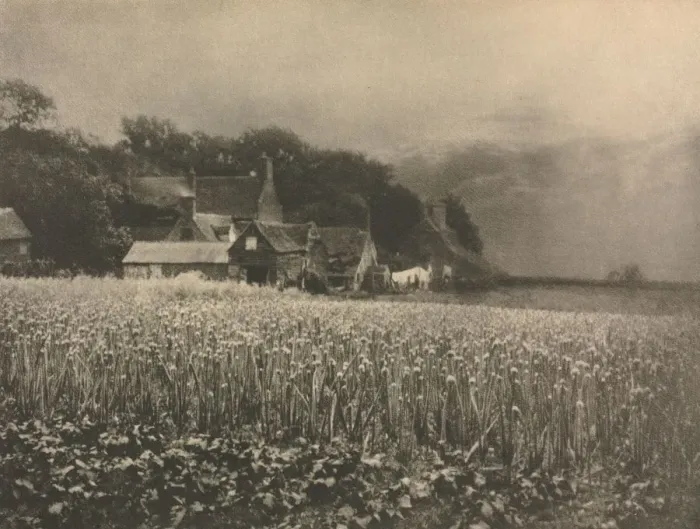 Framed Print : Camera Work: The Onion Field - 1890, 1890. Creator: George Davison (British, 1856-1930)