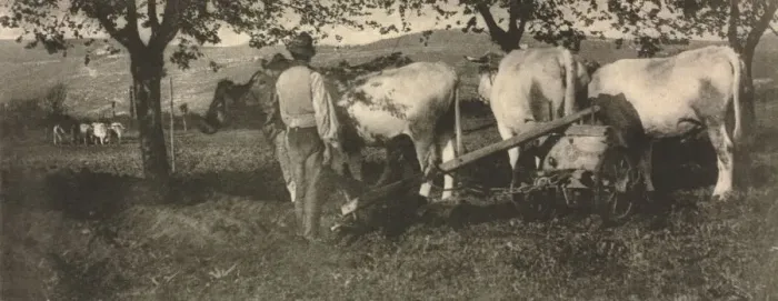 Framed Print : Camera Work: Ploughing Team, 1907. Creator: J. Craig Annan (British, 1864-1946) Framed Print : Camera Work: Ploughing Team, 1907. Creator: J. Craig Annan (British, 1864-1946)