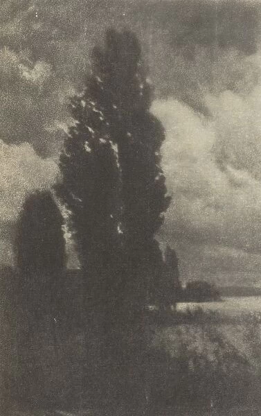 Camera Work: Poplars and Clouds, 1906. Creator: Hans Watzek (Austrian, 1848-1903)
