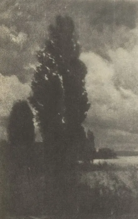 Framed Print : Camera Work: Poplars and Clouds, 1906. Creator: Hans Watzek (Austrian, 1848-1903) Framed Print : Camera Work: Poplars and Clouds, 1906. Creator: Hans Watzek (Austrian, 1848-1903)