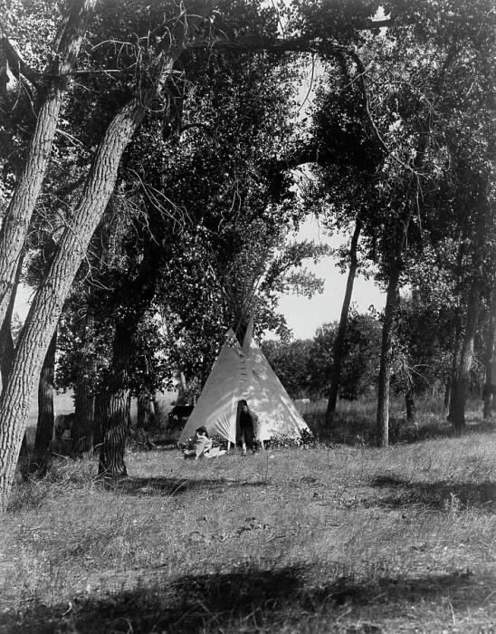 Framed Print : Camp in the cottonwoods-Cheyenne, c1910. Creator: Edward Sheriff Curtis Framed Print : Camp in the cottonwoods-Cheyenne, c1910. Creator: Edward Sheriff Curtis