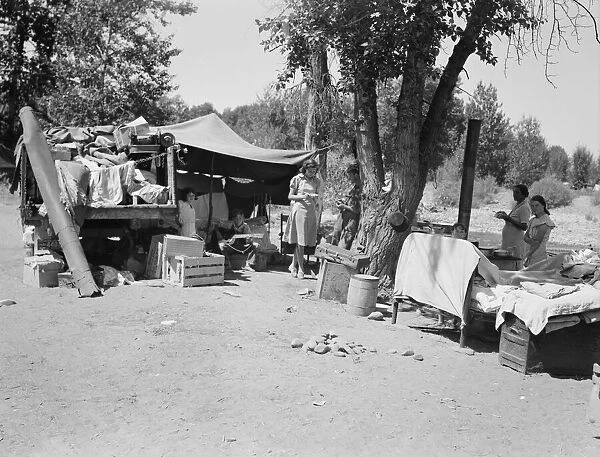 Camp of family with nine children who have been on the road... Yakima Valley, Washington, 1939. Creator: Dorothea Lange