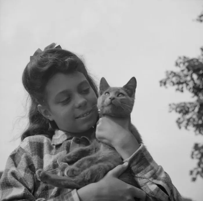 Framed Print : The camp mascot at Camp Gaylord White, Arden, New York, 1943. Creator: Gordon Parks Framed Print : The camp mascot at Camp Gaylord White, Arden, New York, 1943. Creator: Gordon Parks
