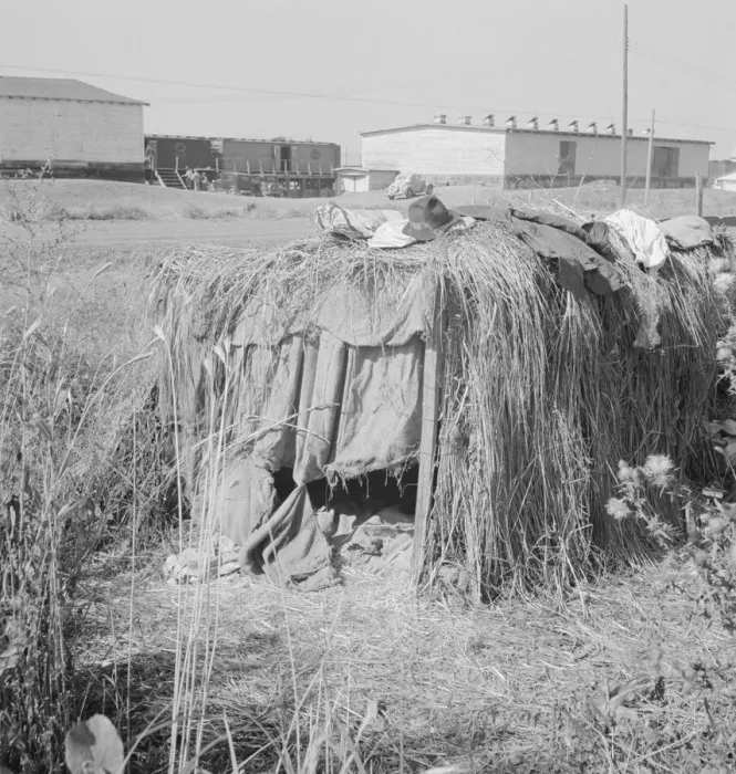 Framed Print : Camp of single men during potato harvest, Tulelake, Siskiyou County, California, 1939. Creator: Dorothea Lange