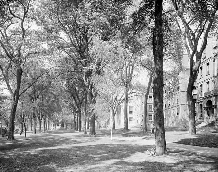 Framed Print : Front campus, Brown University, Providence, R.I. c1906. Creator: Unknown Framed Print : Front campus, Brown University, Providence, R.I. c1906. Creator: Unknown