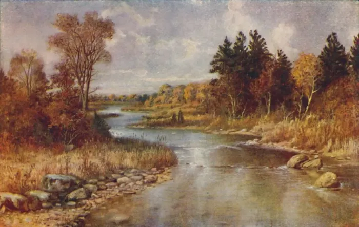 Framed Print : Canadian Forest Scene, 1924 Framed Print : Canadian Forest Scene, 1924