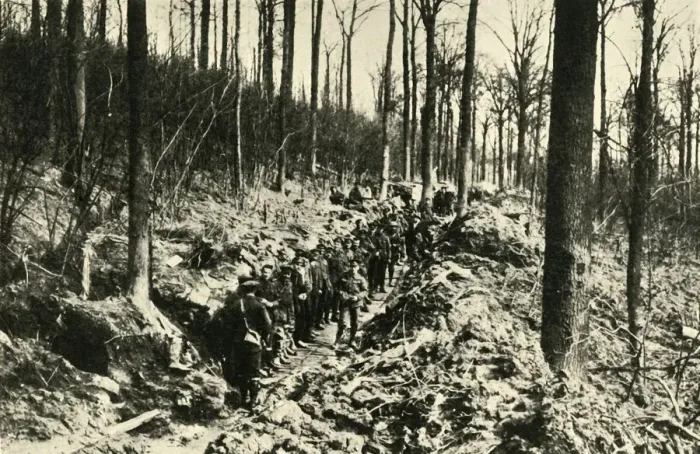 Framed Print : Canadian Infantry in a Wood at the Front, First World War, 1915-1916, (c1920). Creator: Unknown Framed Print : Canadian Infantry in a Wood at the Front, First World War, 1915-1916, (c1920). Creator: Unknown