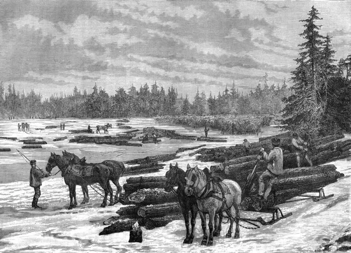 Framed Print : Canadian loggers, 19th century. Artist: Taylor