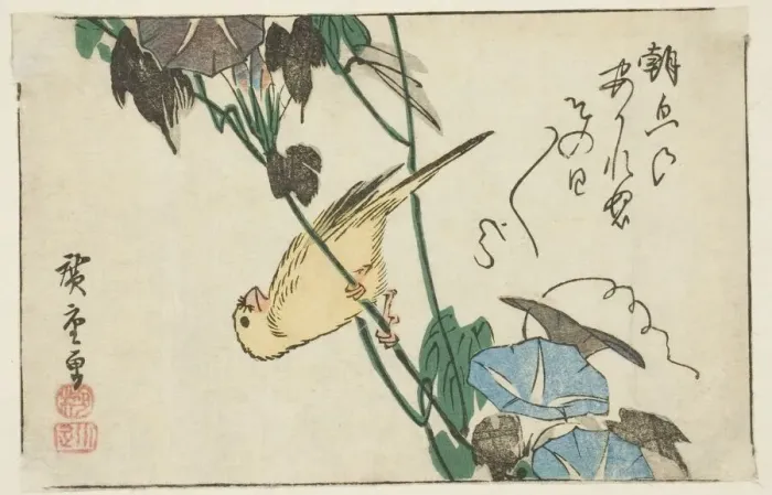 Framed Print : Canary and morning glories, n. d. Creator: Ando Hiroshige Framed Print : Canary and morning glories, n. d. Creator: Ando Hiroshige