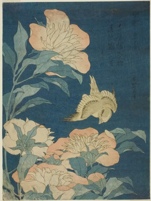 Framed Print : Canary and Peony (Kanaari, shakuyaku), from an untitled series of flowers and birds Framed Print : Canary and Peony (Kanaari, shakuyaku), from an untitled series of flowers and birds