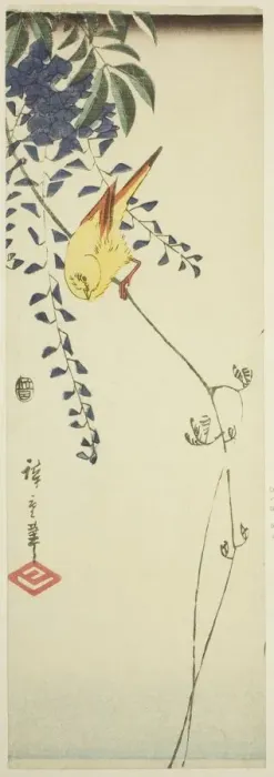 Framed Print : Canary and wisteria, c. 1843 / 47. Creator: Ando Hiroshige Framed Print : Canary and wisteria, c. 1843 / 47. Creator: Ando Hiroshige