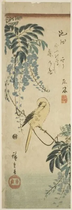 Framed Print : Canary and wisteria, c. 1843 / 47. Creator: Ando Hiroshige Framed Print : Canary and wisteria, c. 1843 / 47. Creator: Ando Hiroshige