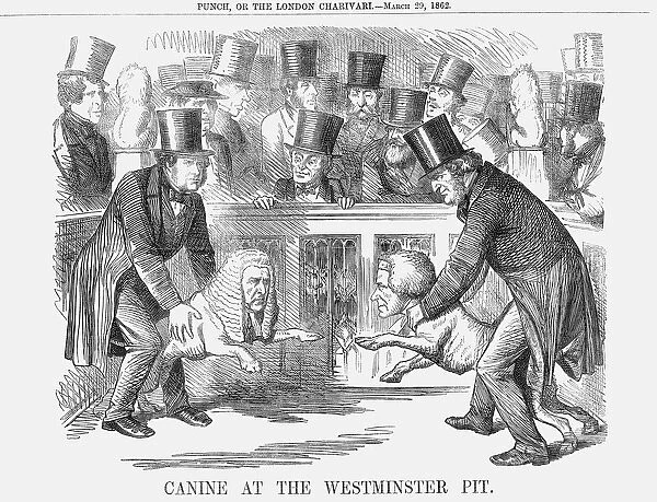 Canine at the Westminster Pit, 1862