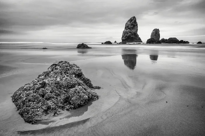 Framed Print : Cannon Beach. Creator: Joshua Johnston Framed Print : Cannon Beach. Creator: Joshua Johnston