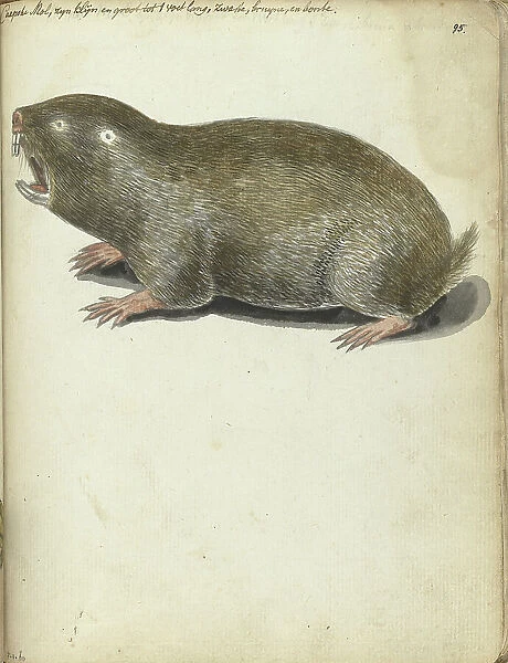 Cape Mole, 1786-1787. Creator: Jan Brandes