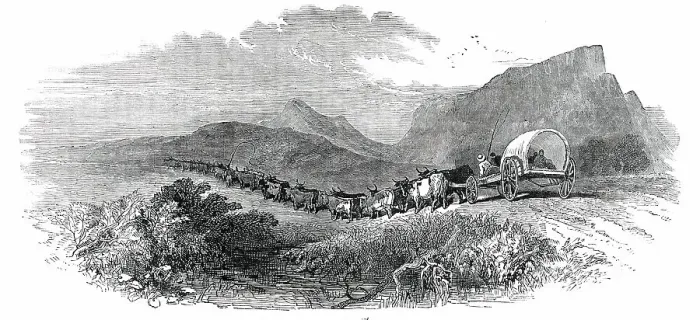 Framed Print : Cape Waggon, 1850. Creator: Unknown Framed Print : Cape Waggon, 1850. Creator: Unknown