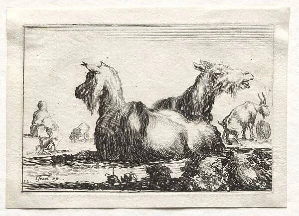 Caprices: Two Goats. Creator: Stefano Della Bella (Italian, 1610-1664)