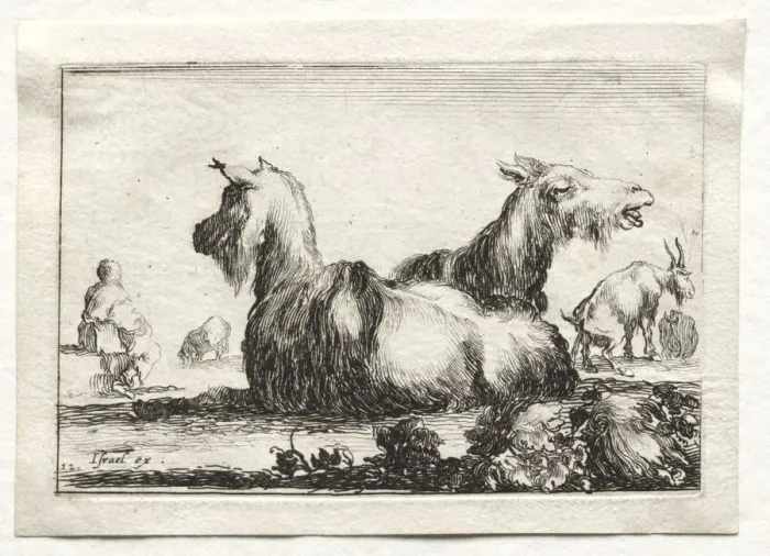 Framed Print : Caprices: Two Goats. Creator: Stefano Della Bella (Italian, 1610-1664) Framed Print : Caprices: Two Goats. Creator: Stefano Della Bella (Italian, 1610-1664)