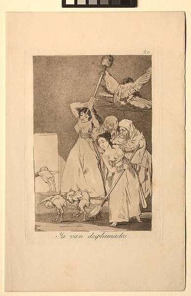 Caprichos: There They Go Plucked (i. e. fleeced). Creator: Francisco de Goya (Spanish, 1746-1828)