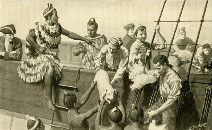 Framed Print : Captain Cook Presenting Pigs and Fowls to the Maoris, (1902). Creator: C. Howard Framed Print : Captain Cook Presenting Pigs and Fowls to the Maoris, (1902). Creator: C. Howard