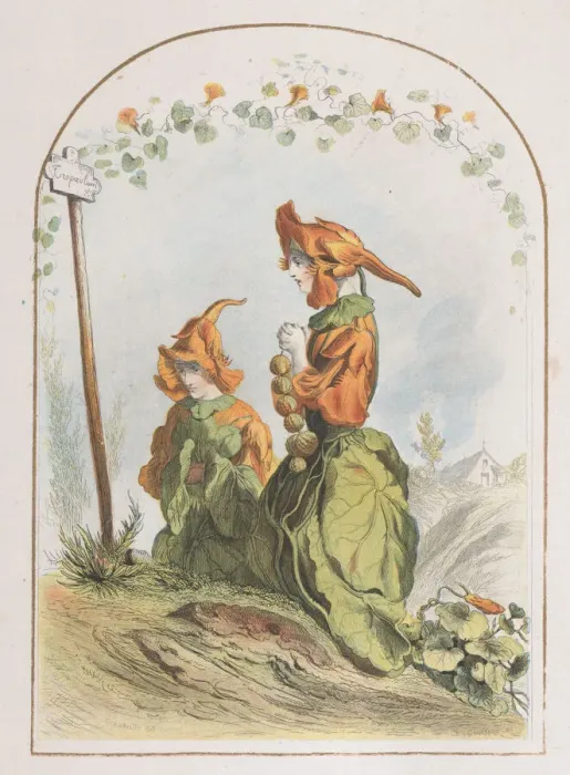 Framed Print : Capucine, from Les Fleurs Animees, 1820-70. 1820-70 Framed Print : Capucine, from Les Fleurs Animees, 1820-70. 1820-70